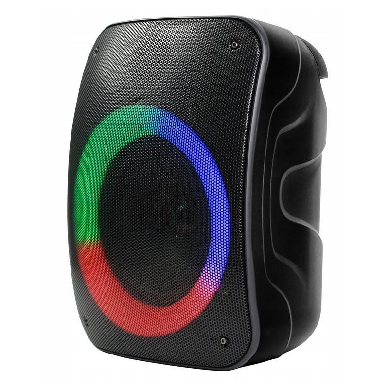 Głośnik przenośny Rebeltec Stage 300 czarny